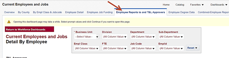 Screenshot of OBIEE Report