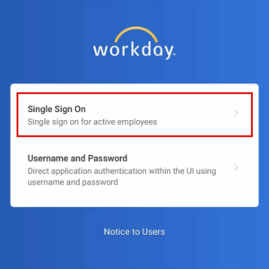 Screenshot of the Workday single sign on option.